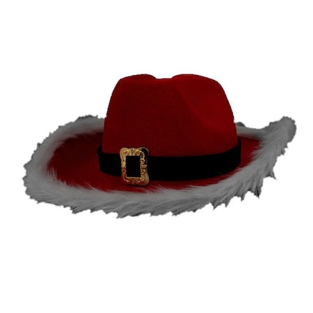 Endless Games LED Flashing Christmas Cowboy Red Santa Clause Western Holiday Hat EN3336938